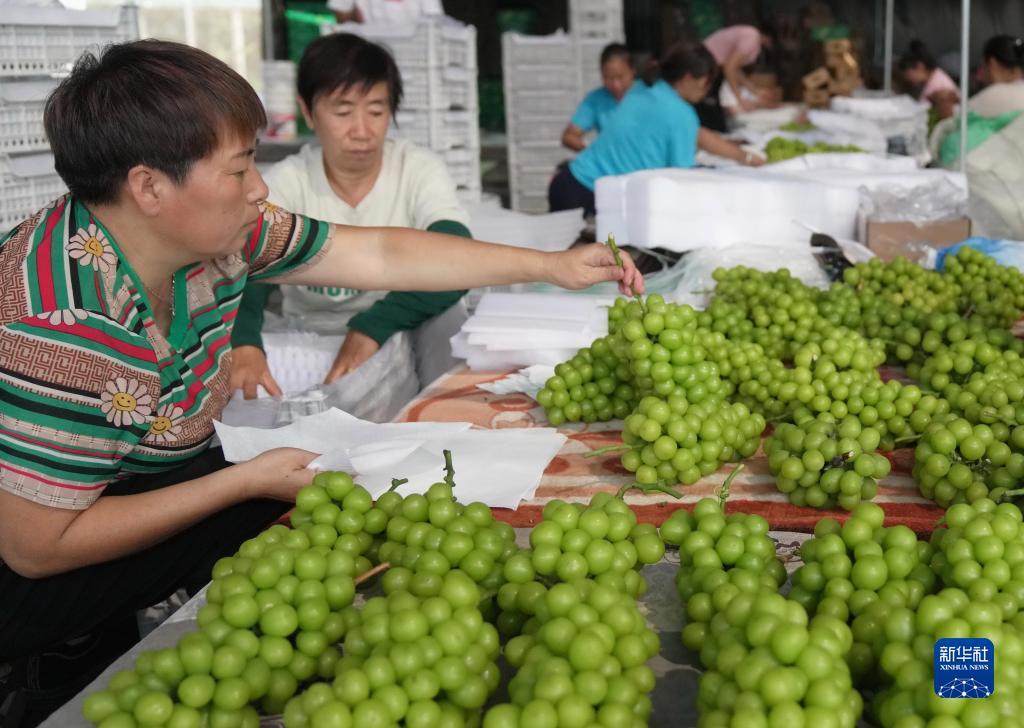 线上游戏开户